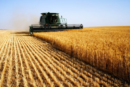 Você sabe como funciona o seguro rural faturamento?