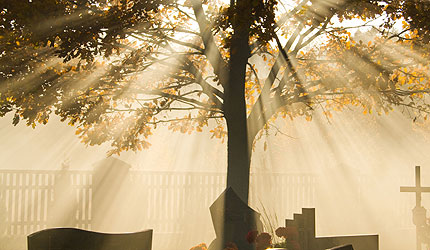 Zurich oferece cobertura para assistência funeral individual