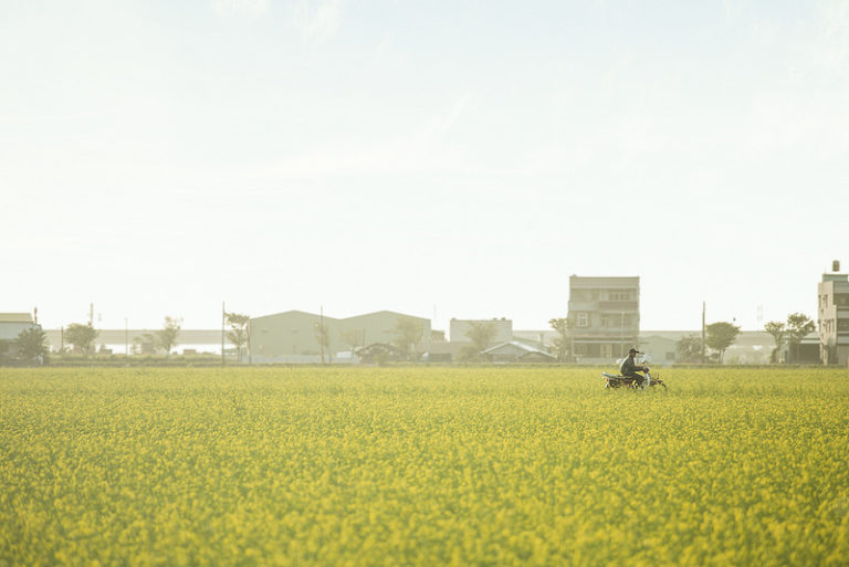 Começa a venda de seguro para motos no Nordeste