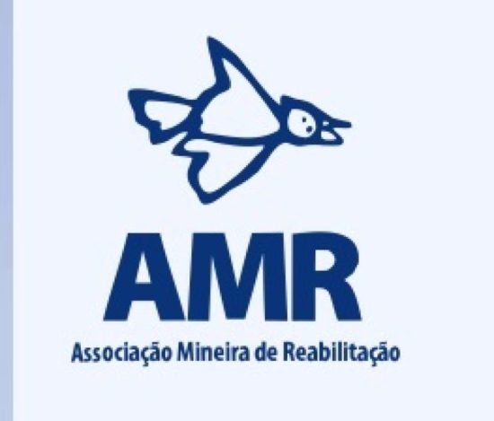 Até o dia 28/12 pessoas físicas e jurídicas podem destinar até 6% do Imposto de Renda a projetos sociais