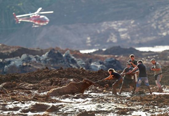Nota de esclarecimento sobre o trágico episódio em Brumadinho/MG