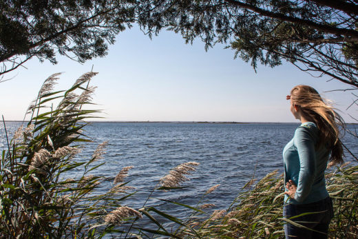 Proteger a sociedade ou facilitar negócios de risco