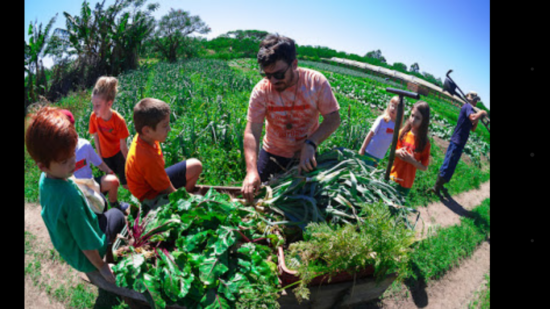 Liberty Seguros patrocina a 4ª edição da  Virada Sustentável em Porto Alegre