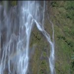 Sompo patrocina minidocumentário da Fundação SOS Mata Atlântica sobre a importância da preservação da água