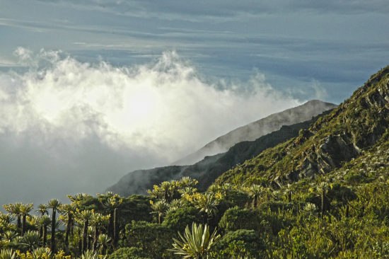 Zurich se destaca por ações contra os riscos climáticos