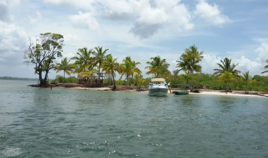 Empresas brasileiras não têm cultura de seguro ambiental