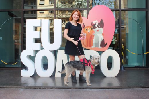 #PetLovers Sompo viabiliza adoção responsável e arrecada fundos para entidades que atuam na causa