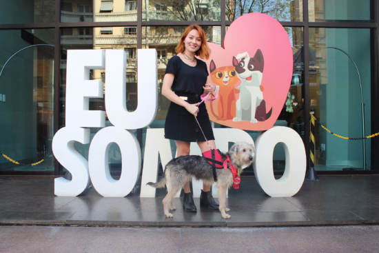 #PetLovers Sompo viabiliza adoção responsável e arrecada fundos para entidades que atuam na causa