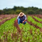 Sancor Agro Inteligente é lançado no Show Rural Coopavel
