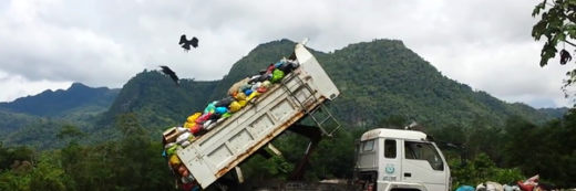 Tokio Marine amplia cobertura do seguro de Responsabilidade Civil de vários setores