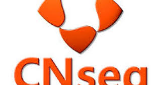 Autorização para as entidades reguladas pela Susep emitam dívida subordinada