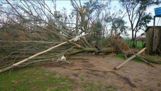 SulAmérica Auto e Massificados  para atendimentos no sul do país