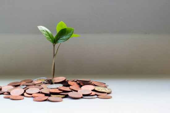 Omint aponta cinco dicas para investir em um seguro de vida ainda jovem