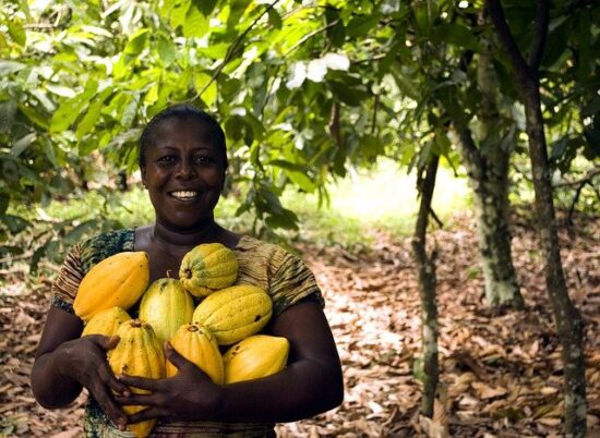 Congresso Brasileiro de Direito do Agronegócio acontece em março