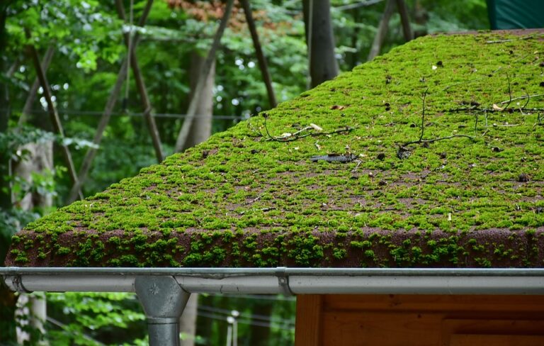 Limpeza de calhas no período de chuvas pode evitar problemas nas residências