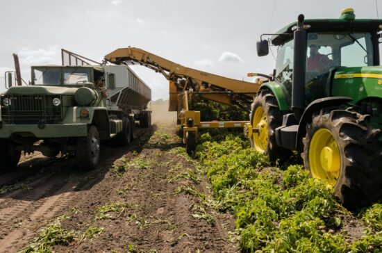 Primeiro webinar do CIST, debate a ‘logística no agronegócio’ e promove ação social