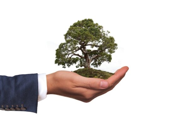 Bradesco  promove Webinar com executivos na Semana do Meio Ambiente