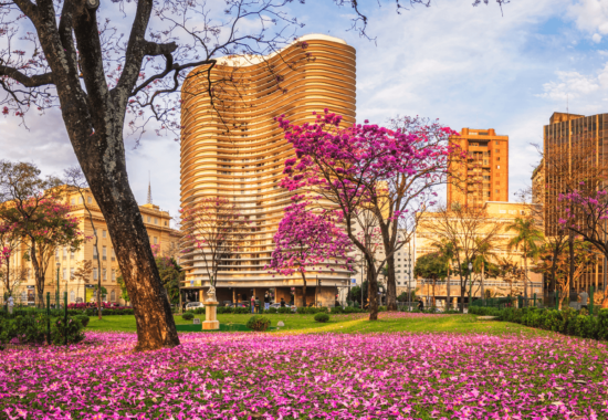 SulAmérica Direto chega a Belo Horizonte