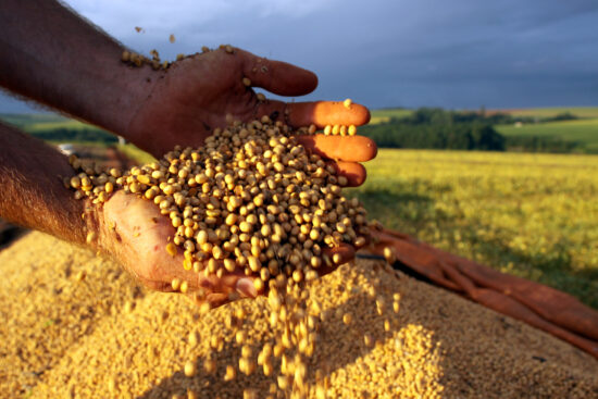 Embora fundamental para garantir a sustentabilidade do setor, o seguro agrícola tem muito para crescer no país.