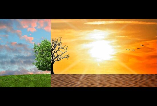 Primeiro webinar da Aon debate mudanças climáticas e riscos ambientais