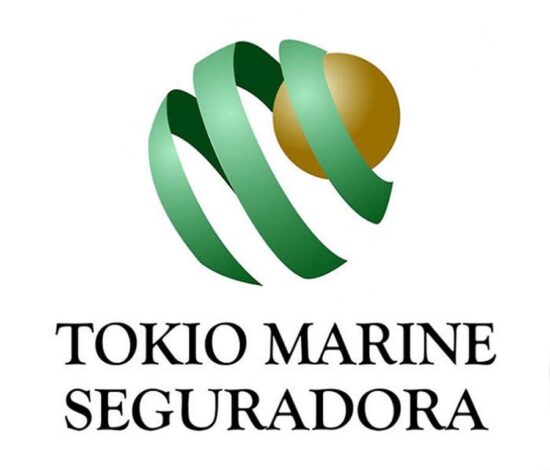 A Tokio Marine ajuda a explicar as diferenças entre D&O e E&O