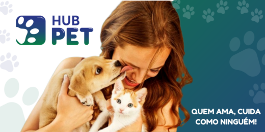 Hub Insurance firma parceria com a Visa e amplia oferta de benefícios no Brasil