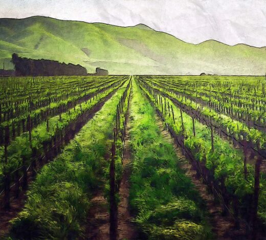 Tecnologias de prevenção de risco potencializam o trabalho de seguradoras focadas no agro