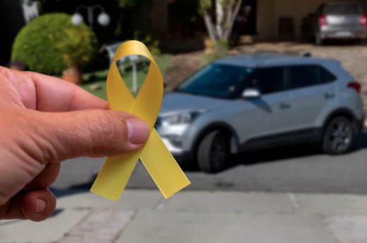 Bradesco Seguros alerta para cuidados no trânsito