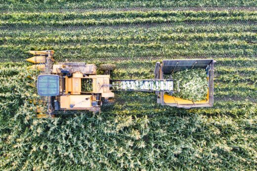 El Niño gera incertezas para a safra de grãos 2023/2024