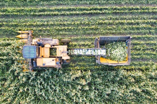 El Niño gera incertezas para a safra de grãos 2023/2024