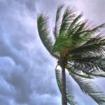HDI Seguros adota ações especiais para atendimento  no Sul do país