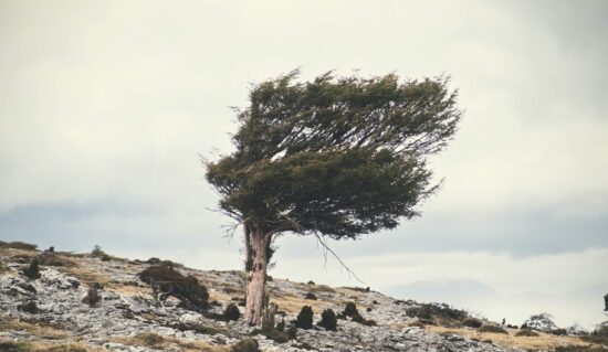 HDI atende com agilidade e eficiência atingidos pelo vendaval no Sul do Brasil