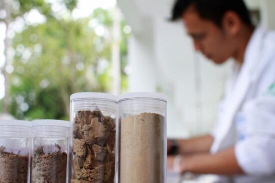 FF Seguros alerta sobre mudança para a elegibilidade de seguro agrícola