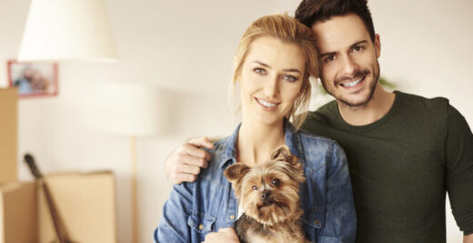 HDI Seguros apresenta assistência para pets