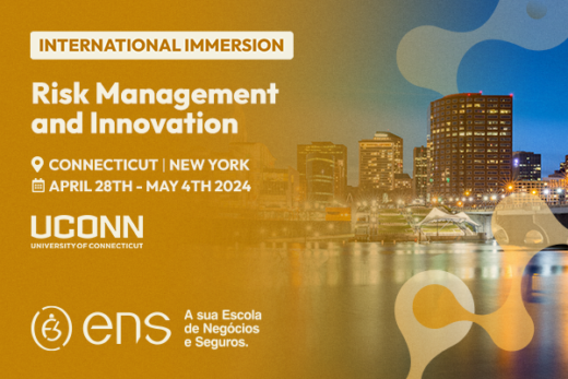 International Immersion Risk Management and Innovation