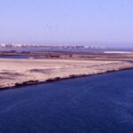 Crise marítima no canal de Suez impacta no mercado de seguros