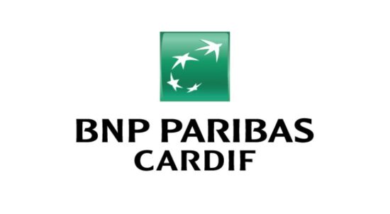 BNP Paribas Cardif Brasil firma compromisso de ter 50% de mulheres em cargos de alta liderança