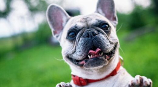 Referência em proteção ao viajante, Hero expande serviço