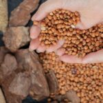 Para Alper, após El Niño terá mais impacto no agro com La Niña
