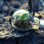 FGV IISR discute Seguros e Mudanças Climáticas em evento