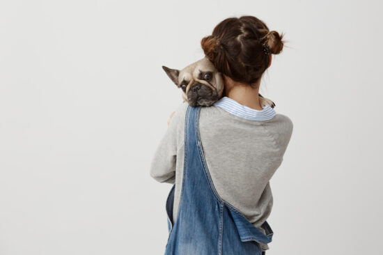 Seguro de vida pode ser aliado dos pets durante as férias