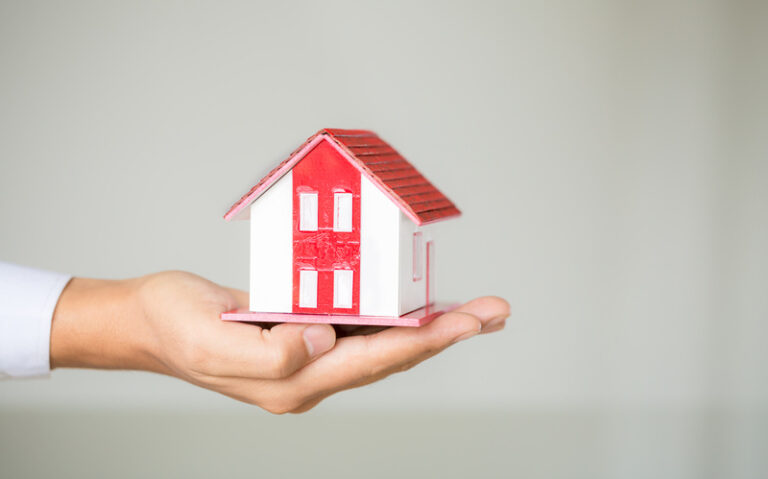 Seguro Residencial da BB Seguros conta com serviço de desinsetização