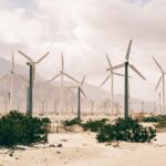 Allianz Trade impulsiona o futuro das tecnologias de baixo carbono