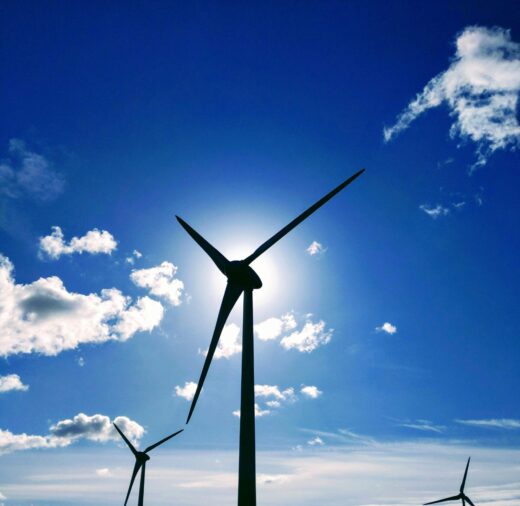 A importância da redução de carbono no setor segurador