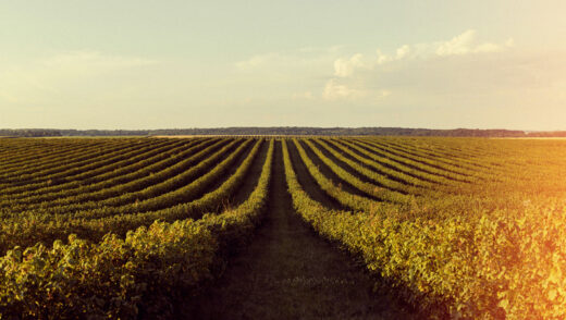 BB Seguros estará na 15ª edição da AgroBrasília