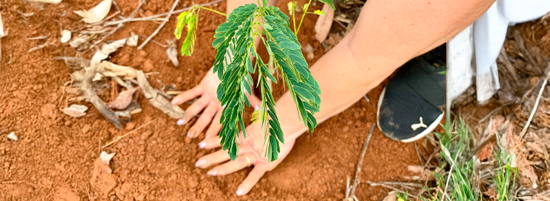 MetLife publica relatório anual de sustentabilidade