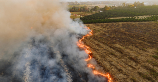 Quais seguros podem reduzir os prejuízos das mudanças climáticas?