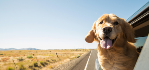 Zurich reforça proteção adequada para viajantes