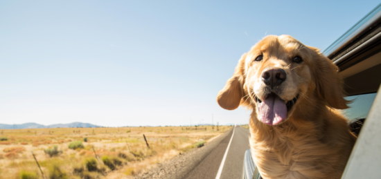 Zurich reforça proteção adequada para viajantes