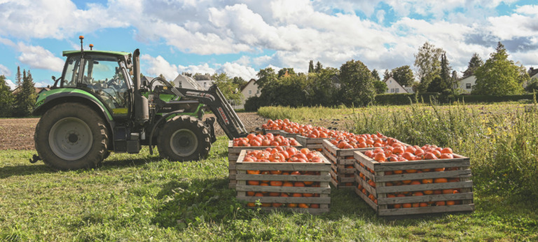 Setor de Seguros cresce no agronegócio